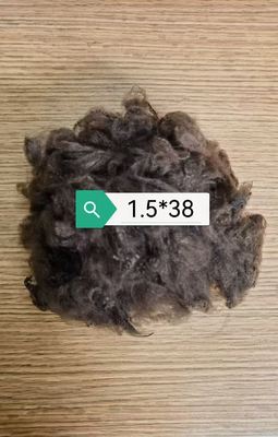 Les fibres de polyester recyclées sont des fibres de polyester recyclées