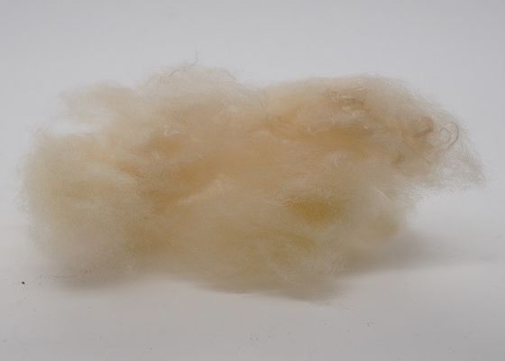 haut non polyester élastique de textile tissé de 2.5Dx51mm pour l'intérieur des véhicules à moteur