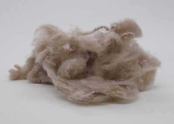 haut non polyester élastique de textile tissé de 2.5Dx51mm pour l'intérieur des véhicules à moteur