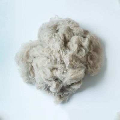 1.4D / le dopant 3D/7D/15D a teint le polyester ignifuge 100% ignifuge