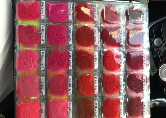 fibre synthétique de polyester de 1.2D 64mm pour le géotextile intérieur des véhicules à moteur