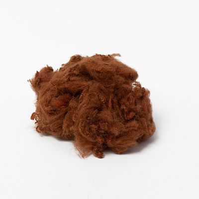 Polyesters colorés par chameau de 1.2D 32mm fil la matière première pour des couvertures