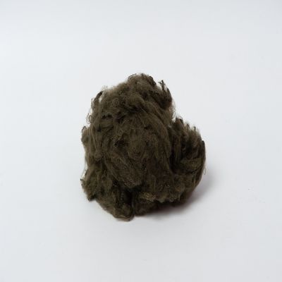 La ténacité élevée a coupé la fibre de polyester régénérée 6D 51mm écologiques
