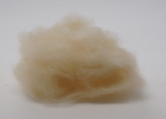 Utilisation régénérée ignifuge de tissu de la fibre de polyester 15D 64mm Automotvie