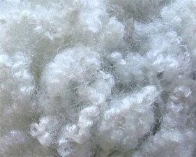 Fibre de polyester teinte de Siliconized de cavité d'élongation des puces de Vierge